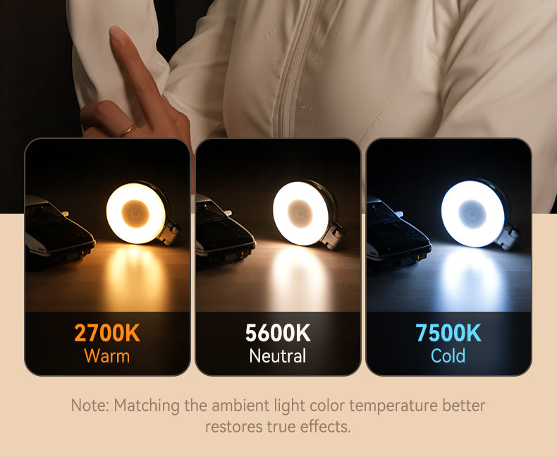 Magnetic Fill Light with Mirror